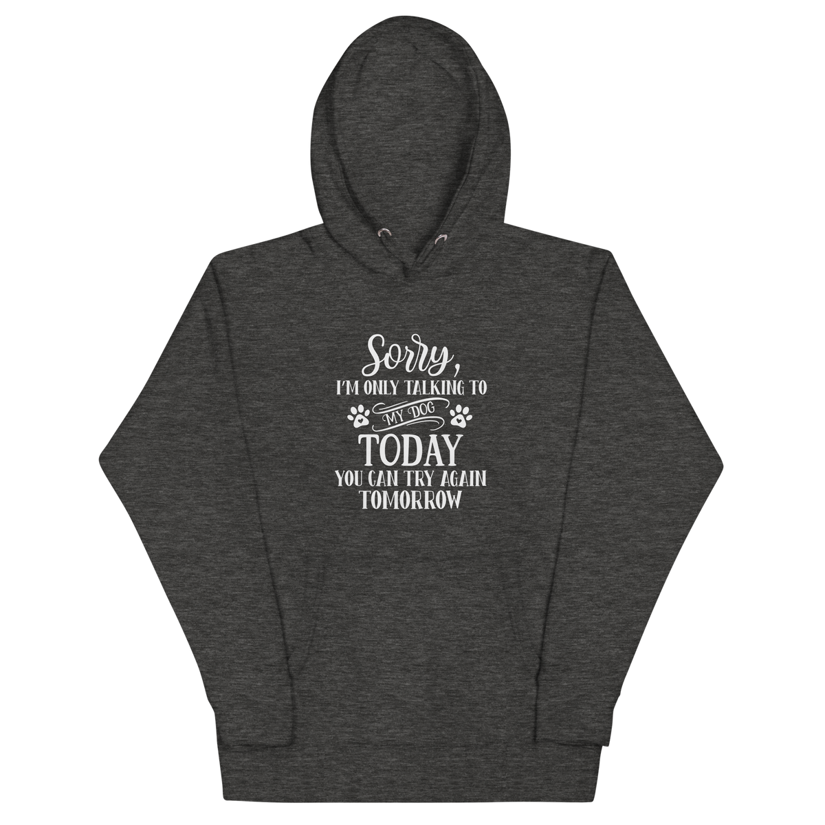 SORRY I'M ONLY TALKING TO MY DOG TODAY Hoodie